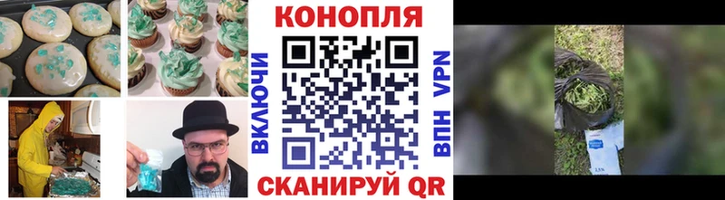 Cannafood конопля  купить   Суздаль 
