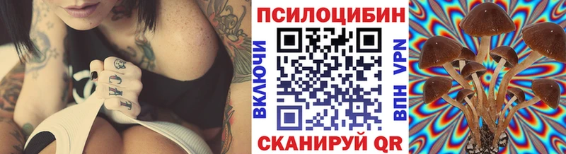 Псилоцибиновые грибы Psilocybine cubensis  Суздаль 